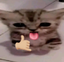ElGatoChill emote for Discord