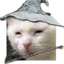 eldenringbutatwhatcost emote for Discord