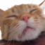 ellieSleep emote for Discord
