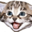 elated emote for Discord
