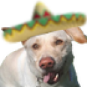 ElDog static emote for Discord, Twitch and Slack