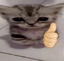 ElGatoLike emote for Discord