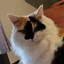 DuchessOfLard emote for Discord