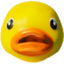 duckO emote for Discord
