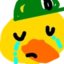 duckSad emote for Discord