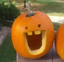 dumbahhpumpkin emote for Discord