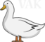 DUCKVAK emote for Discord