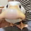 Ducknose emote for Discord