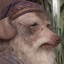 Dumblecreature emote for Discord