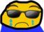dwjftSadge emote for Discord