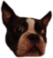dzeicobRasty emote for Discord