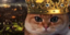 EarlWar emote for Discord