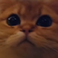 EarlStare emote for Discord