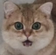 EarlSurprised emote for Discord