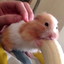EatBanana emote for Discord