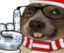 EARTHQUAKE emote for Discord
