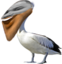 emoneyPelican emote for Discord