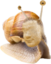 emoneySnail emote for Discord
