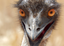 Emu3 emote for Discord