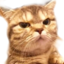 enojao emote for Discord