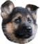 enozramon emote for Discord
