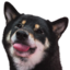 Enzo2 emote for Discord