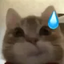 ermge emote for Discord