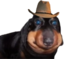 Ermftcowboyhat emote for Discord