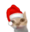 er emote for Discord