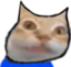 ermgi emote for Discord