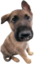 ernest emote for Discord