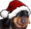 ermftxmashat emote for Discord