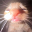 ermM emote for Discord