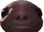 ERPogO emote for Discord