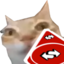 ErmReverse emote for Discord