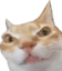 ErmAngry emote for Discord