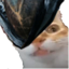 ErmDjura emote for Discord