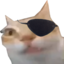 ErmMajima emote for Discord