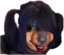 Ermiru emote for Discord