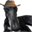 ErmFtKingFtCowboyhat emote for Discord