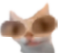 ermi emote for Discord