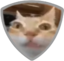 ERMSHIELD emote for Discord
