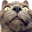 ErikDerp emote for Discord