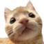 ermm emote for Discord