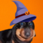 ErmSpooky emote for Discord
