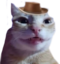 ermYEEHAW emote for Discord