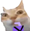 ErmJuice emote for Discord