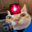 ermPolice emote for Discord