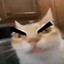 ErmMadge emote for Discord