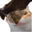 ErmBurgerwerth emote for Discord